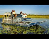 Tigertail Airboat Tours